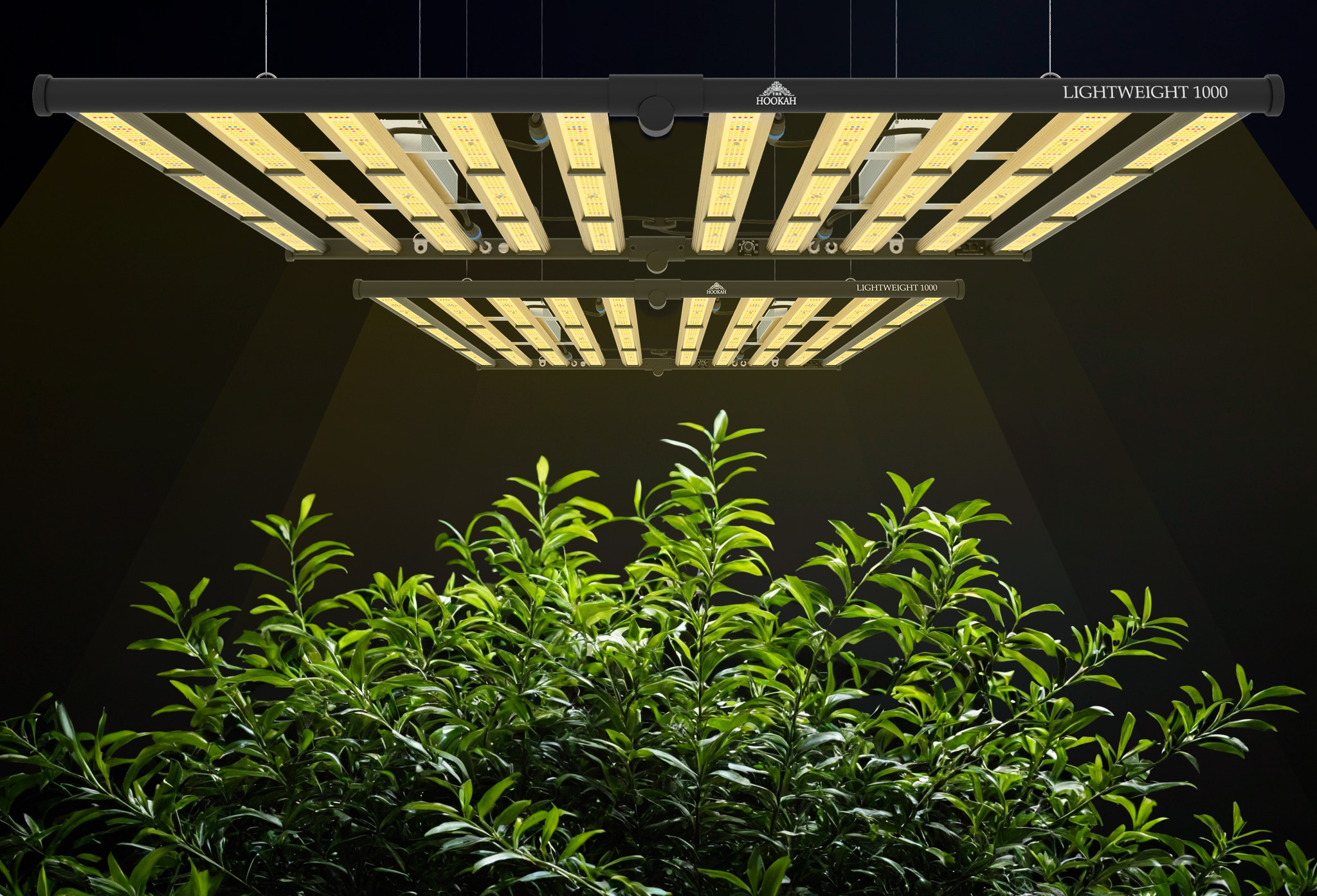 Growbox Beleuchtung LED