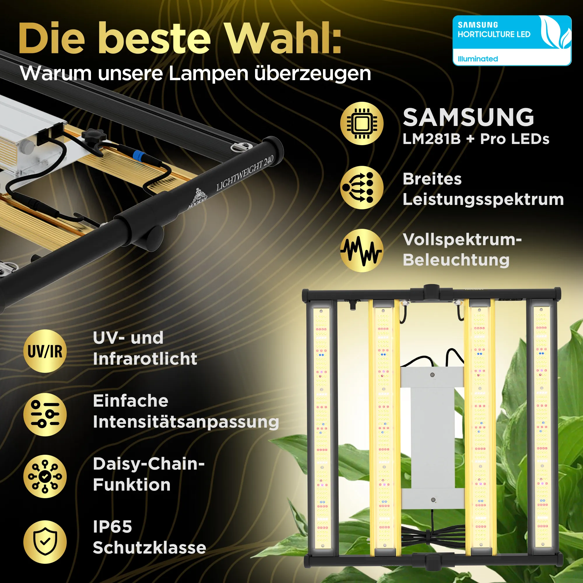 Vorteile des Growboxen-Komplettsets