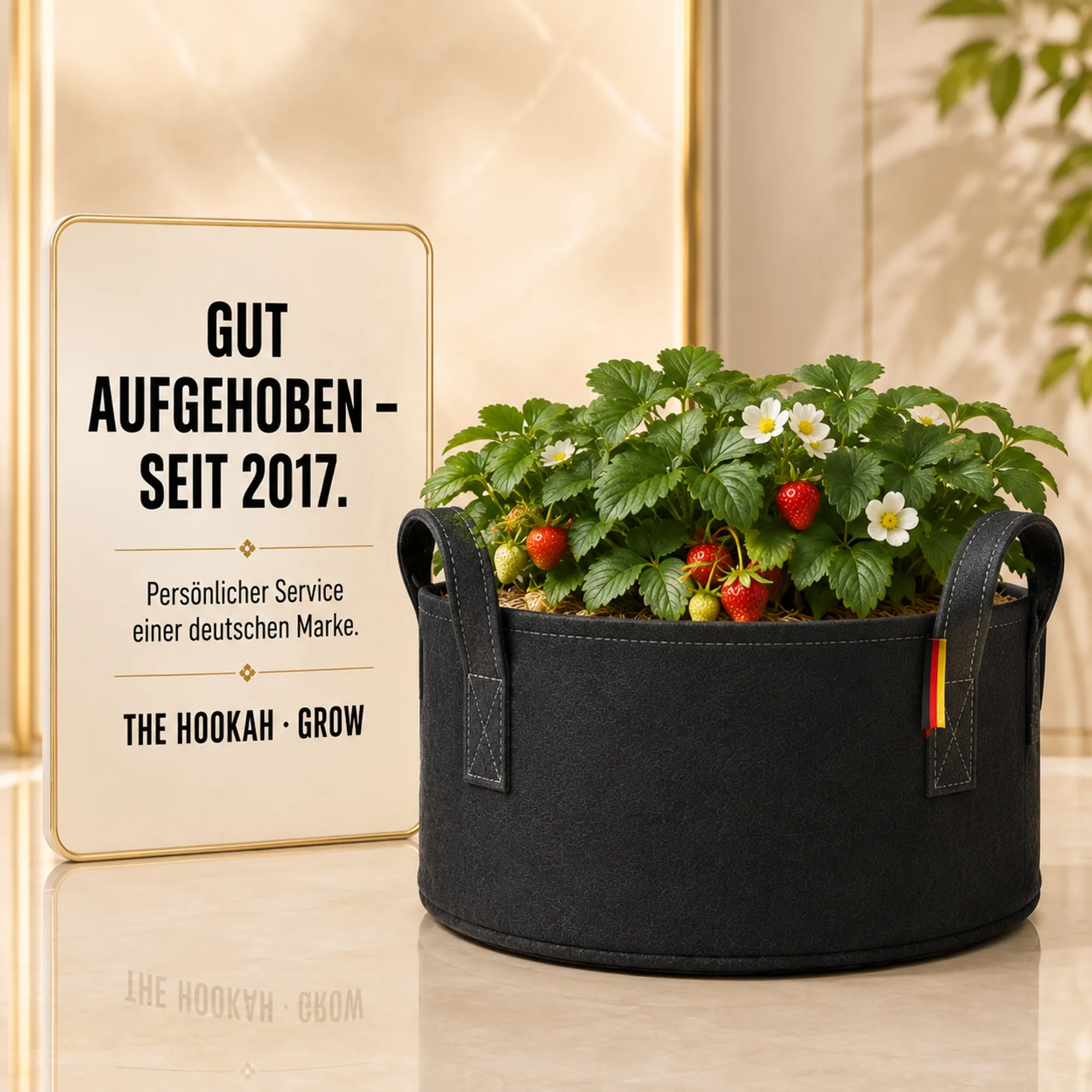 Schwarzer Vlies-Pflanzsack mit Griffen und Erdbeerpflanze