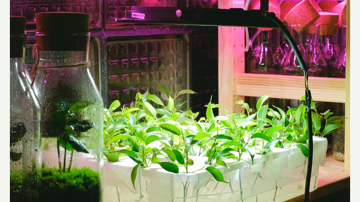 Growbox Komplettset für Anfänger: Diese Komponenten müssen passen